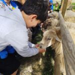 IMG_20260508_104914